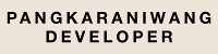Pangkaraniwang Developer