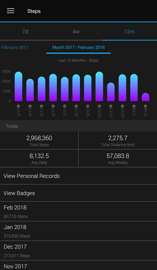 12 months steps